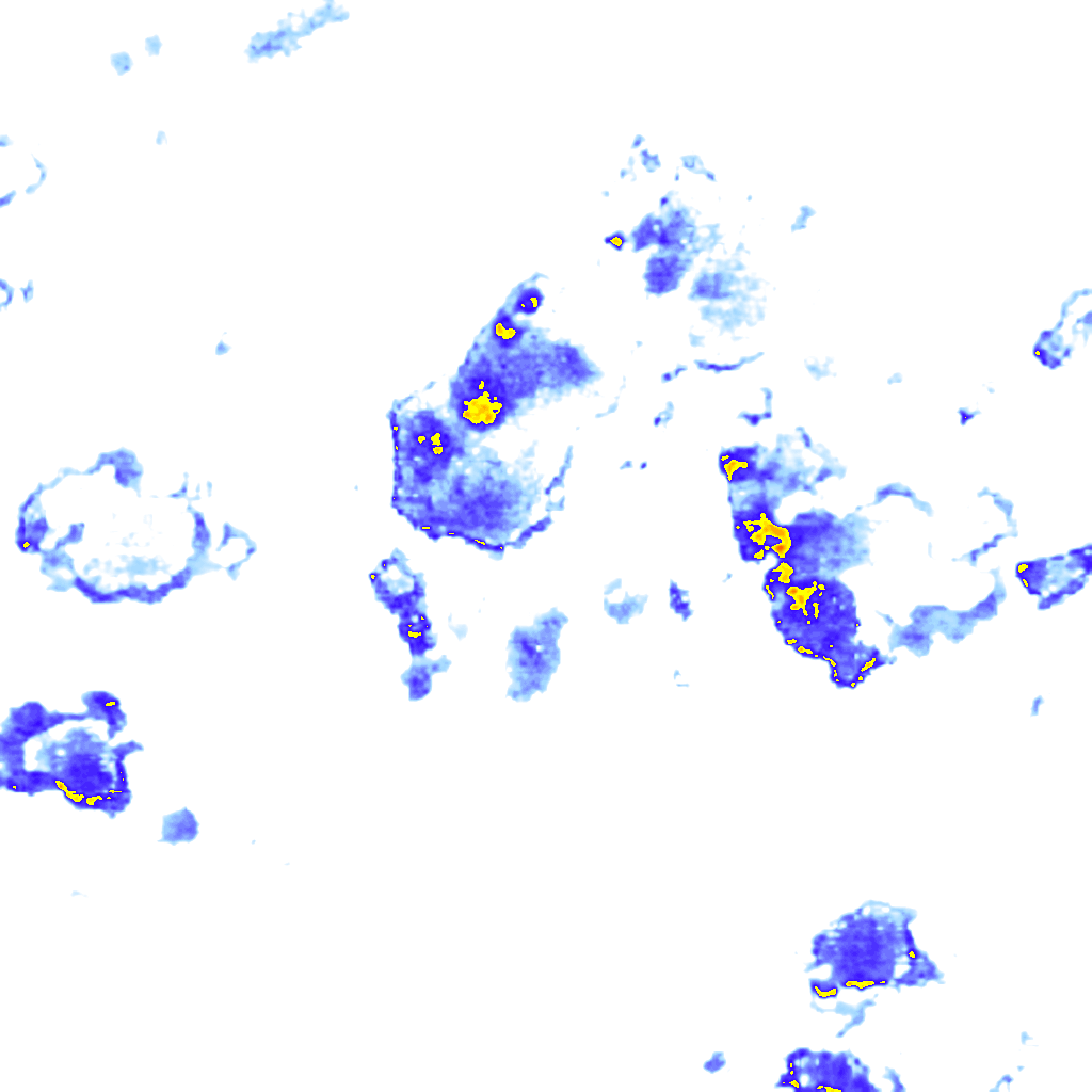 Image Layer