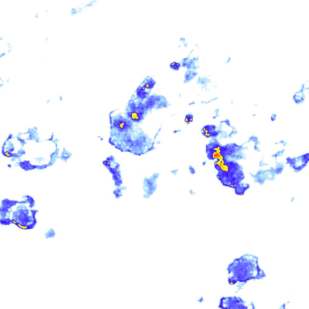 rainLayer