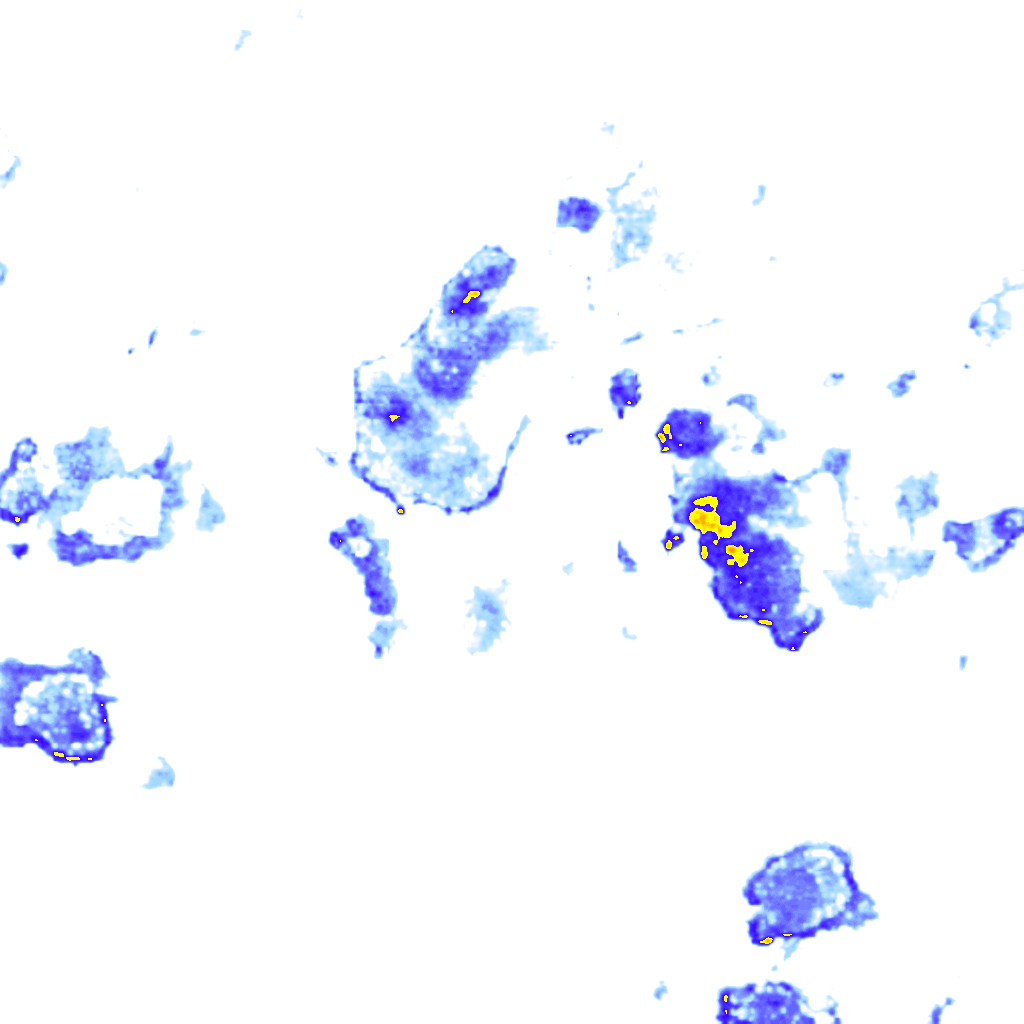 rainLayer