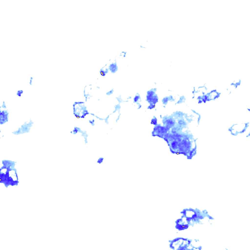rainLayer