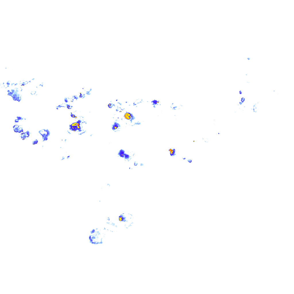 rainLayer