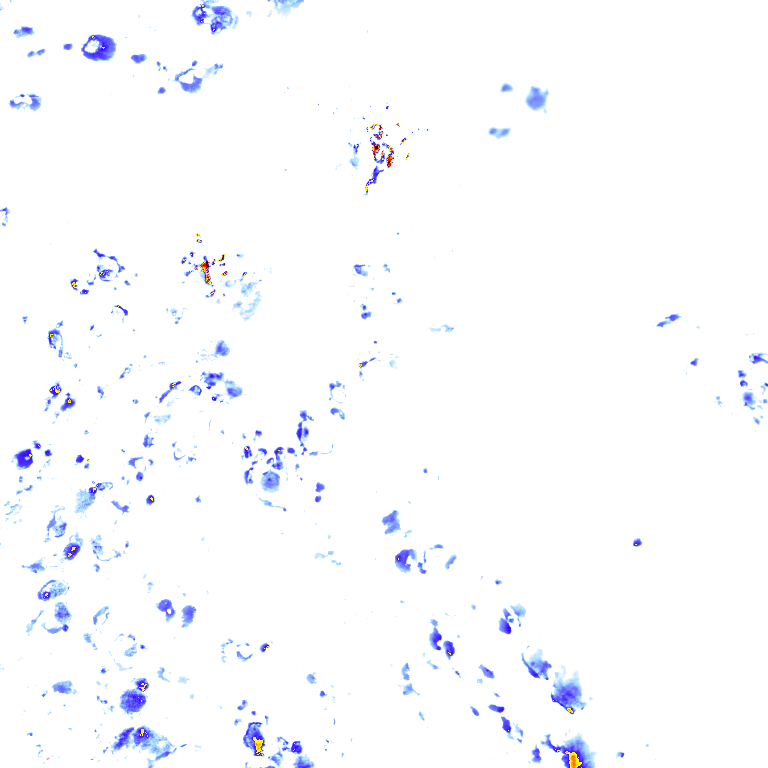 rainLayer