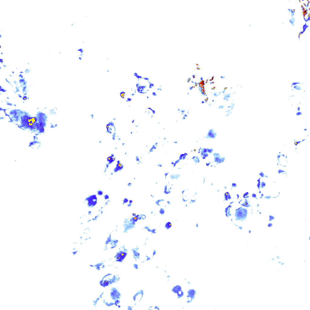 rainLayer