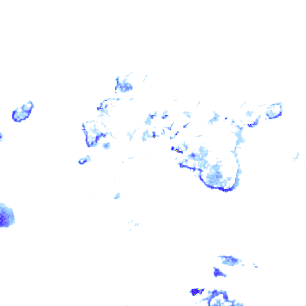 rainLayer