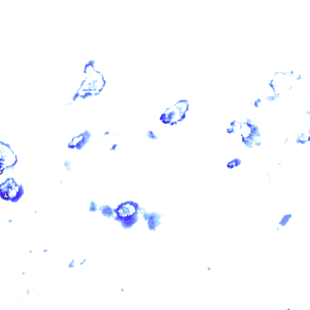 rainLayer