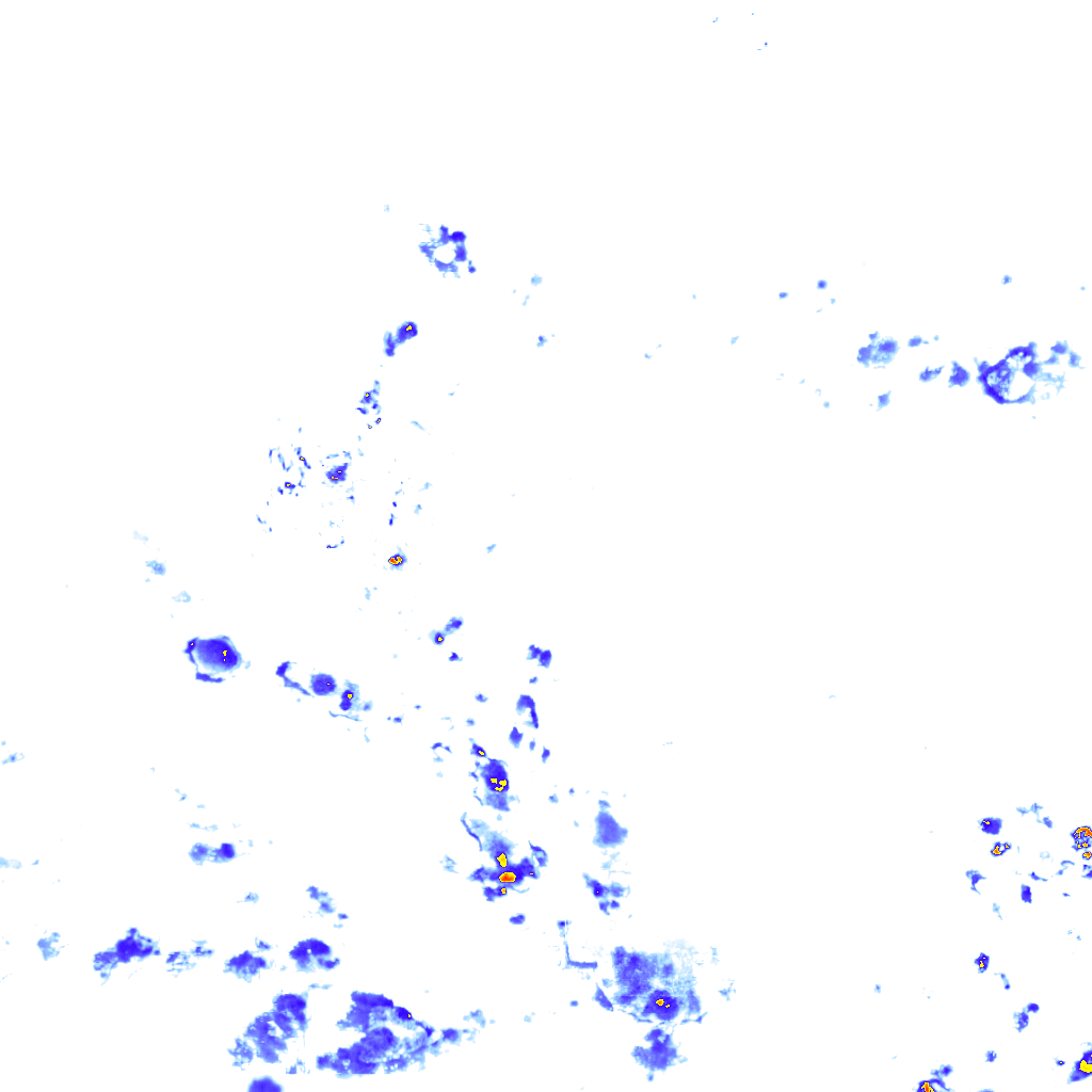 rainLayer