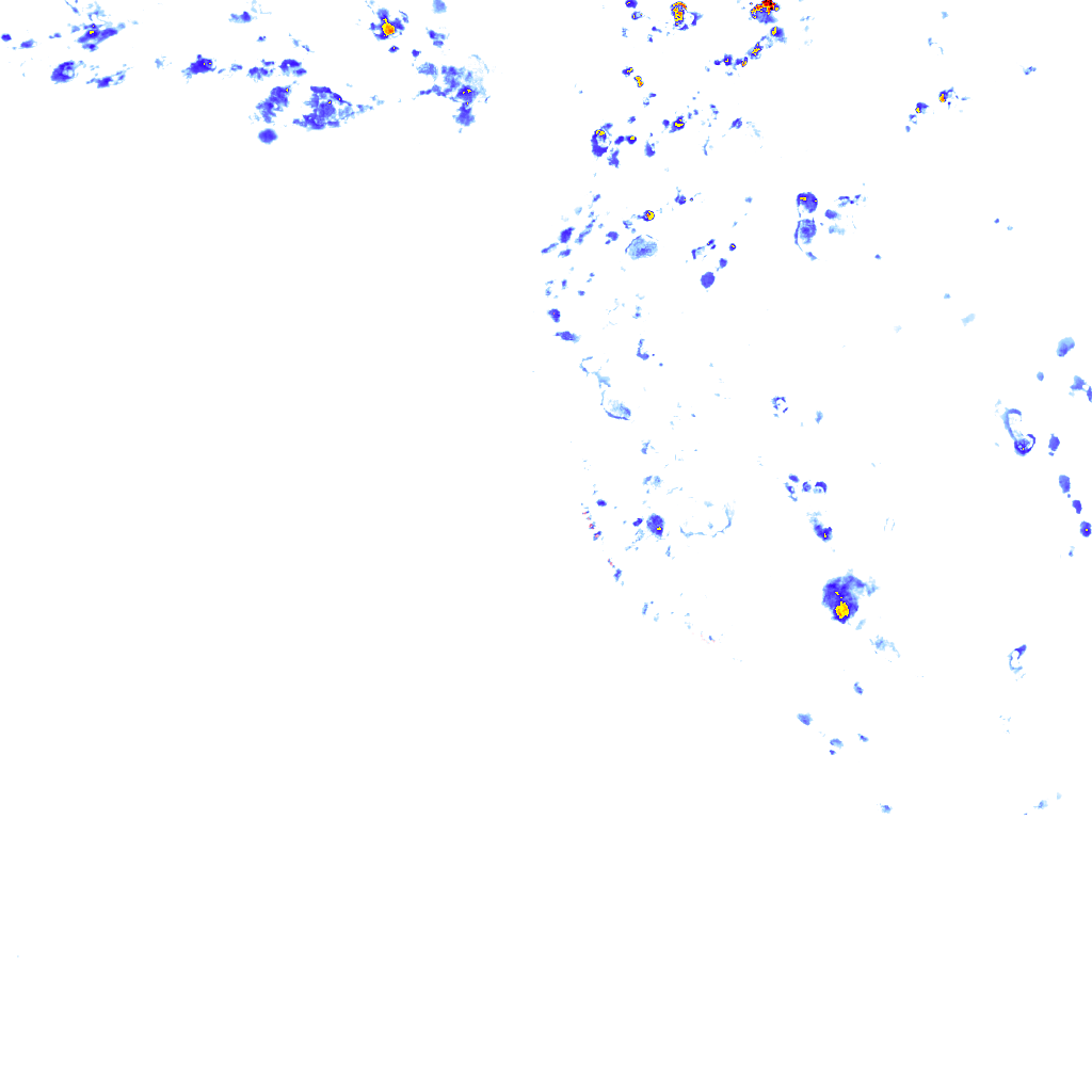 rainLayer