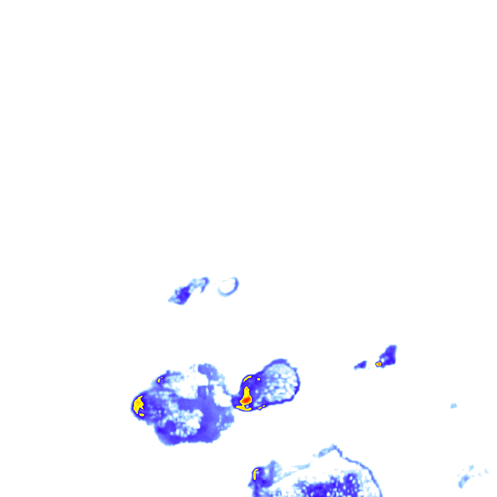 rainLayer