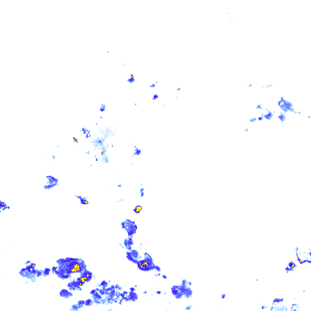 rainLayer