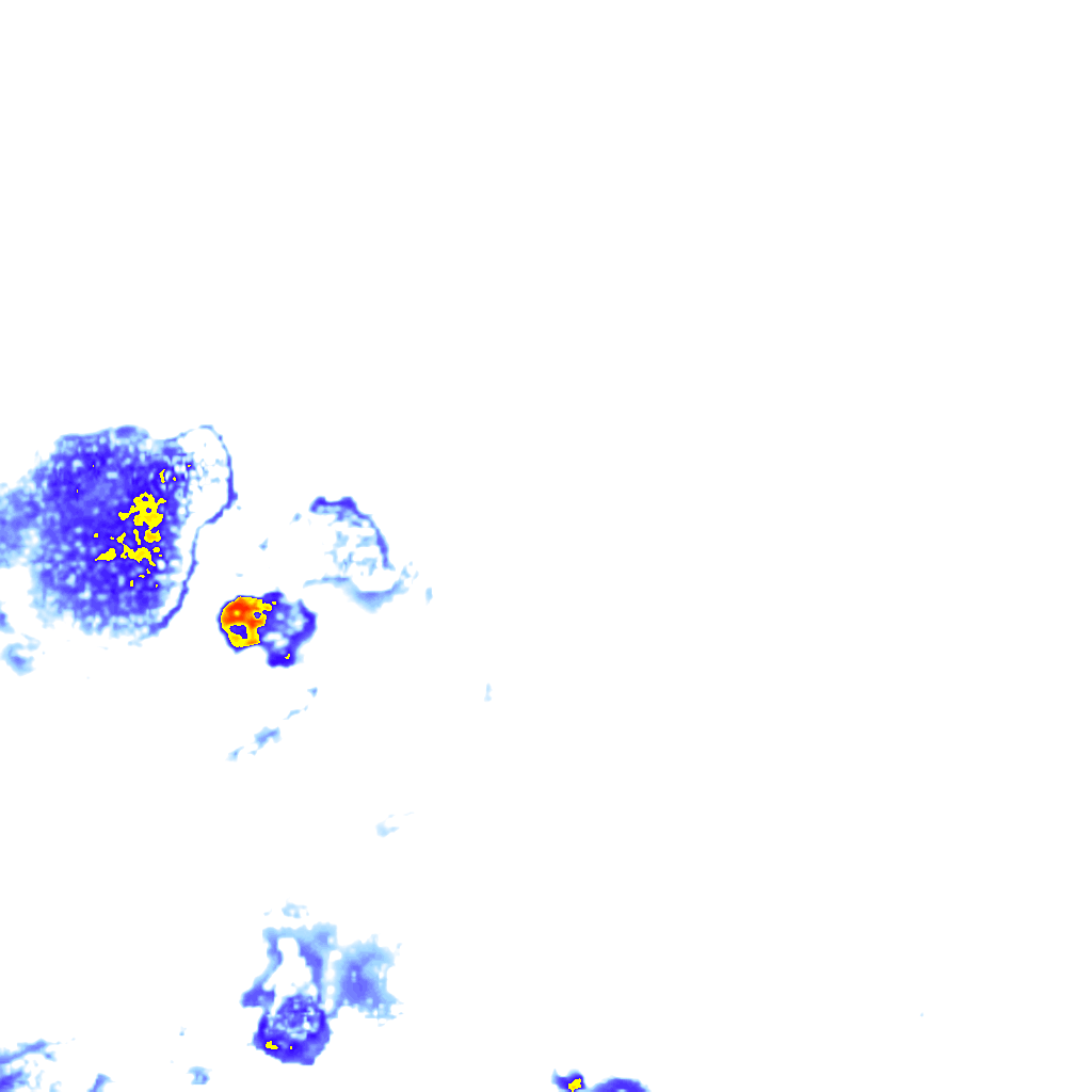 rainLayer