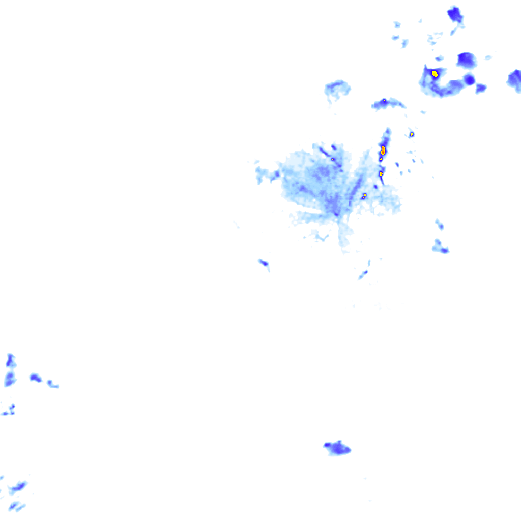rainLayer