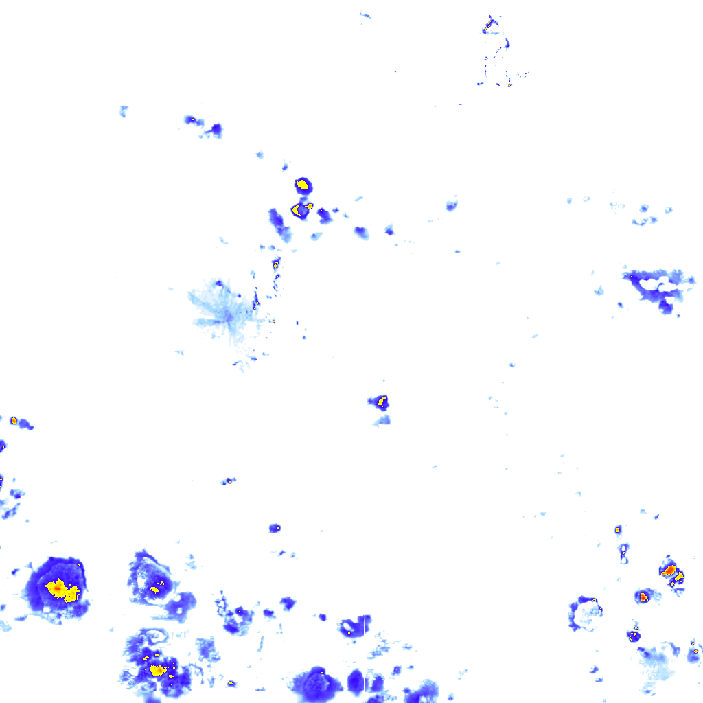 rainLayer