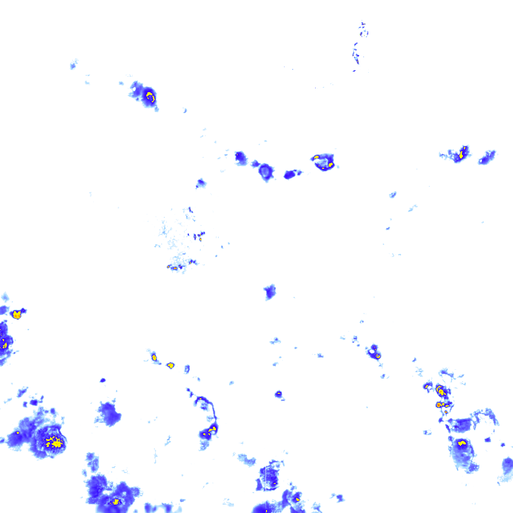 rainLayer