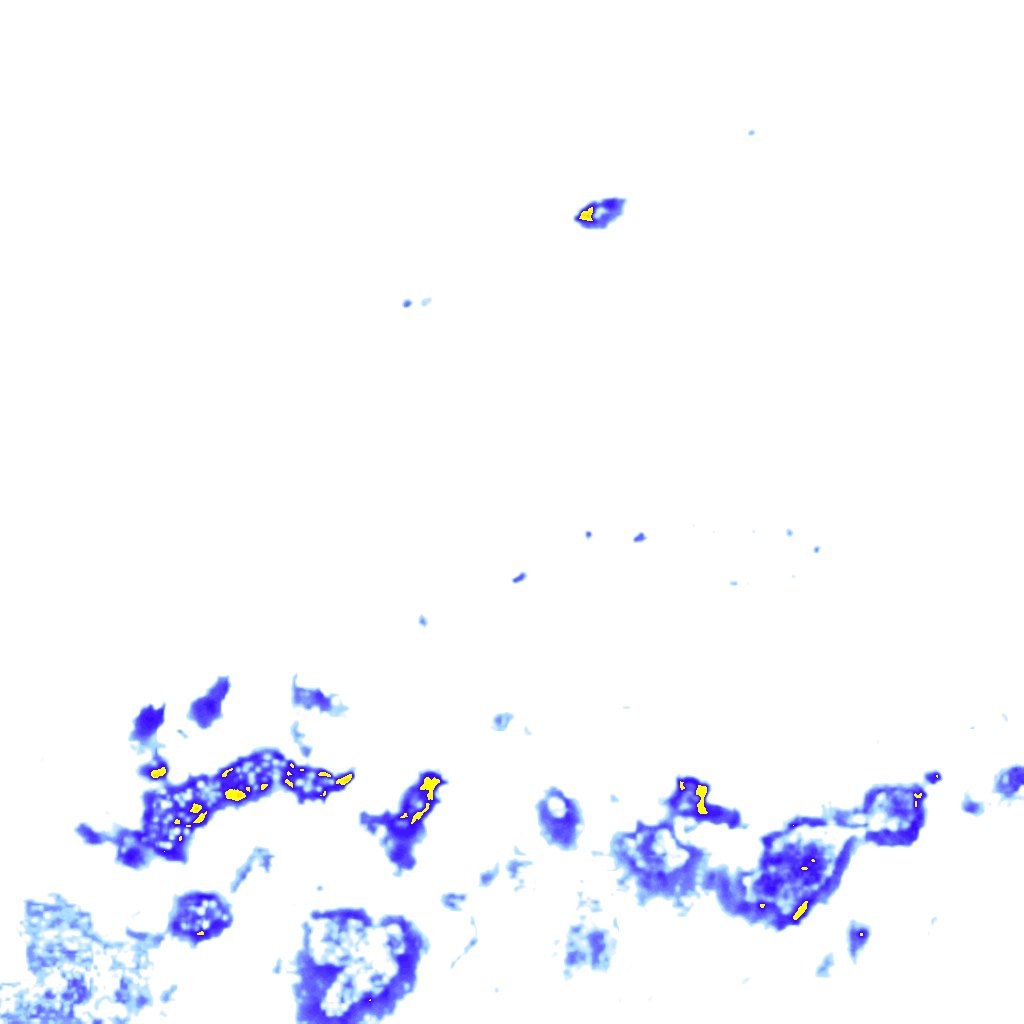 rainLayer