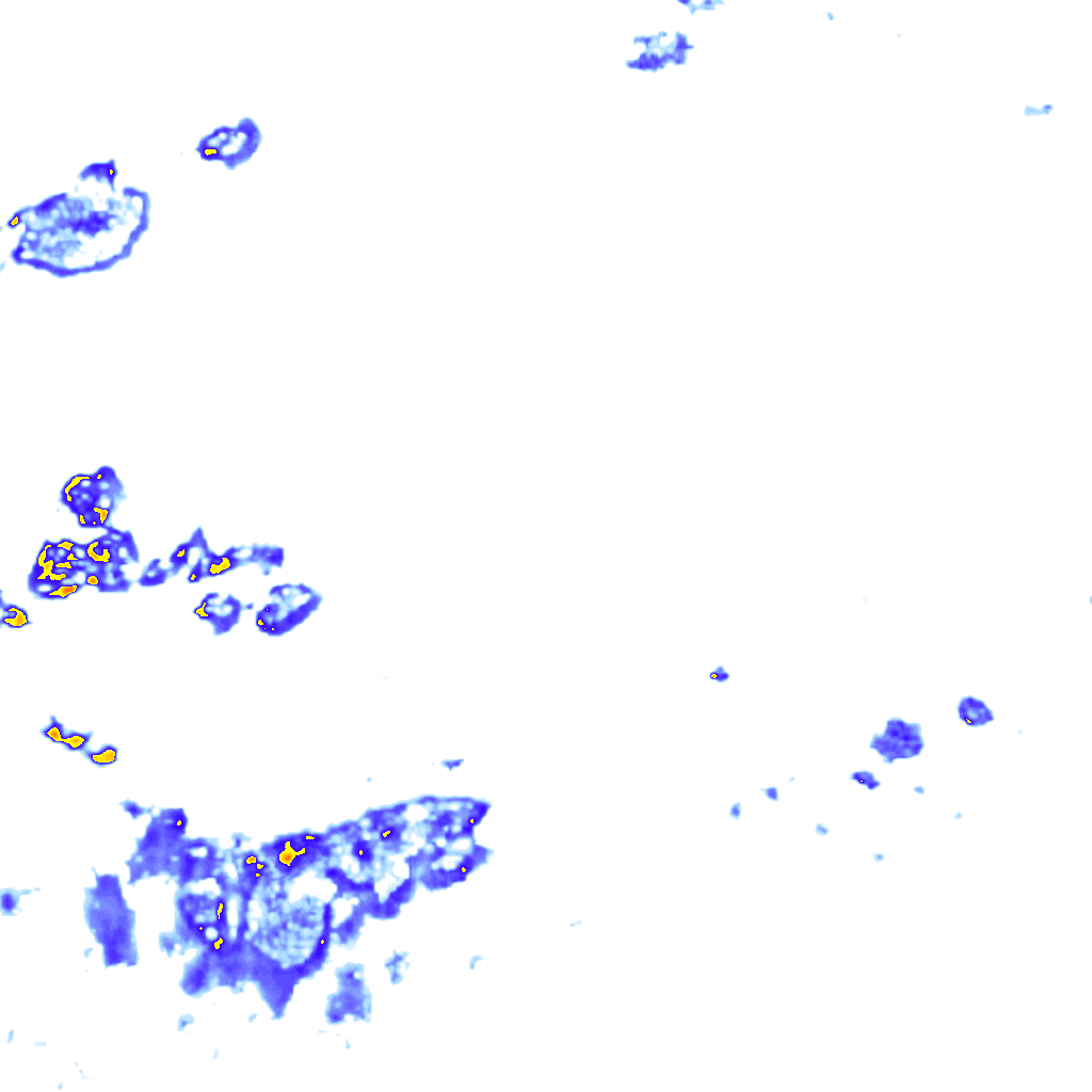 Image Layer