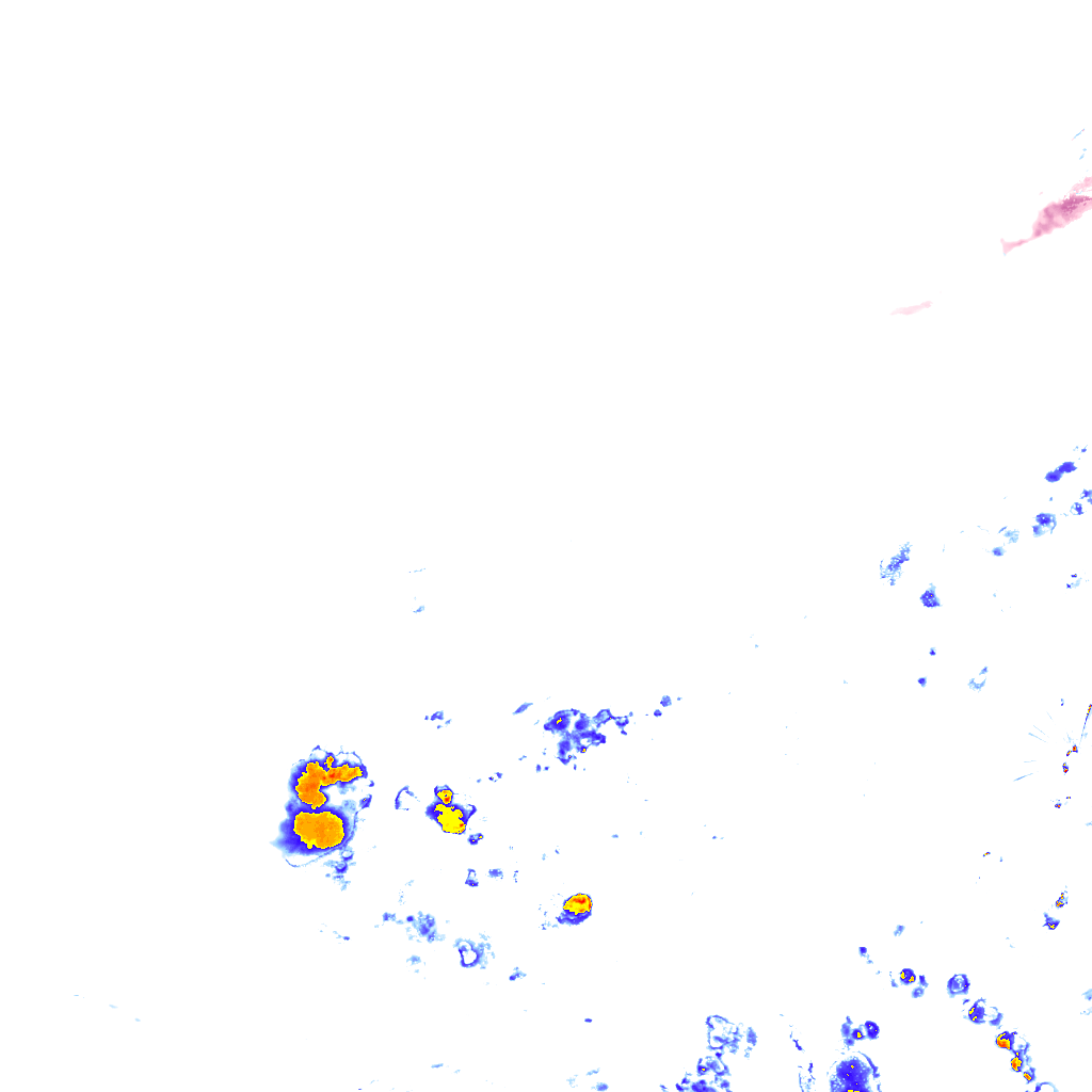 rainLayer