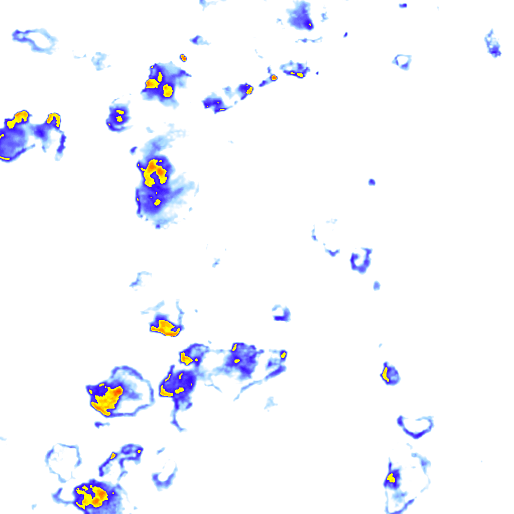rainLayer