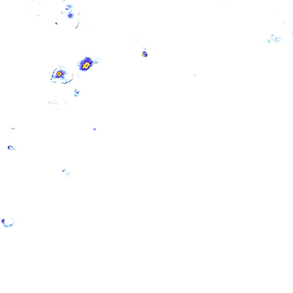 rainLayer