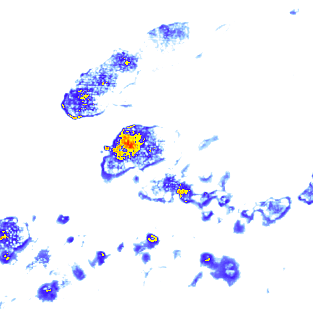 Image Layer