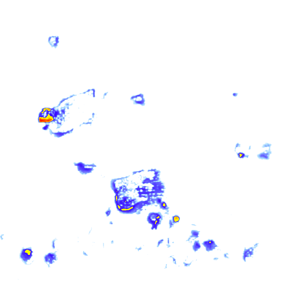 Image Layer