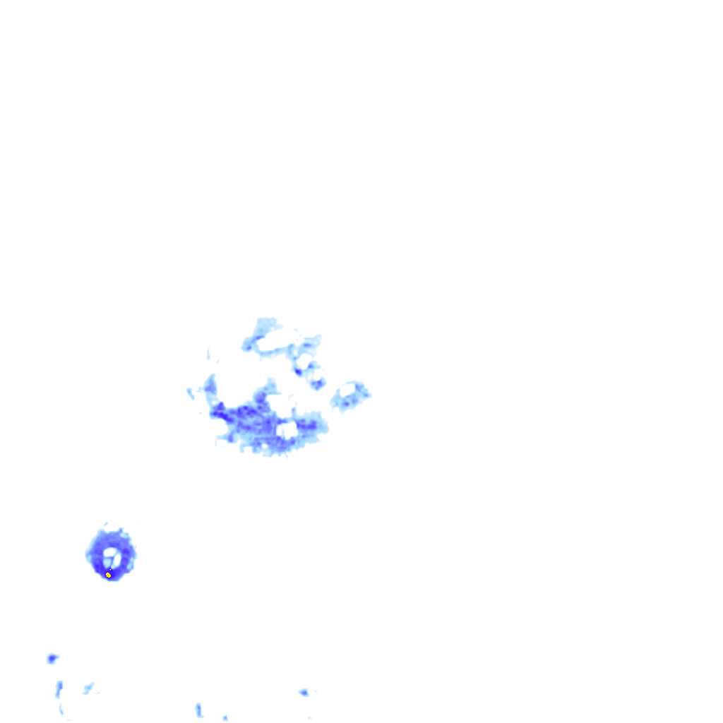 Image Layer