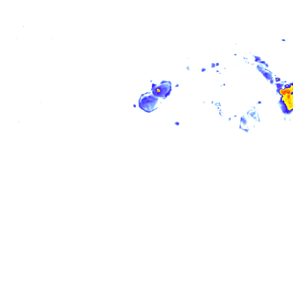 rainLayer