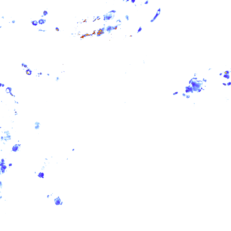 rainLayer