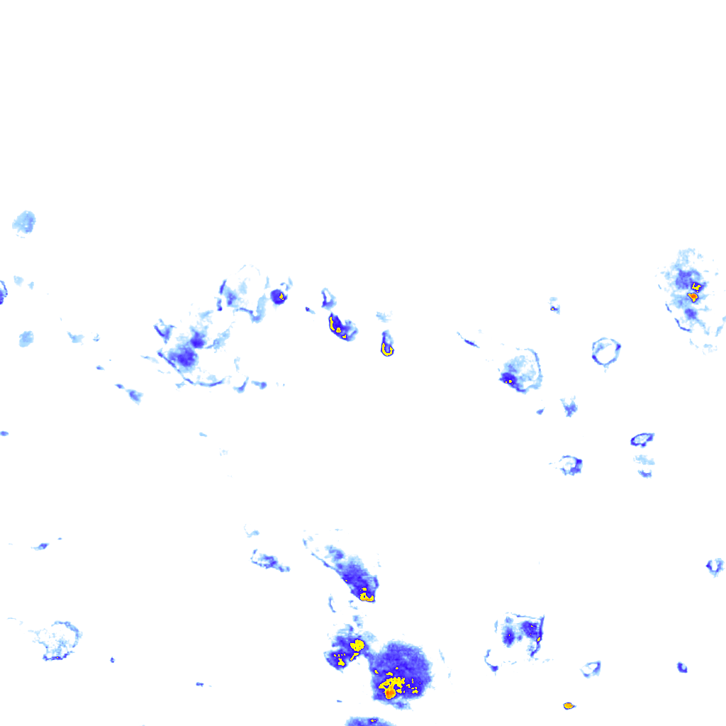 rainLayer