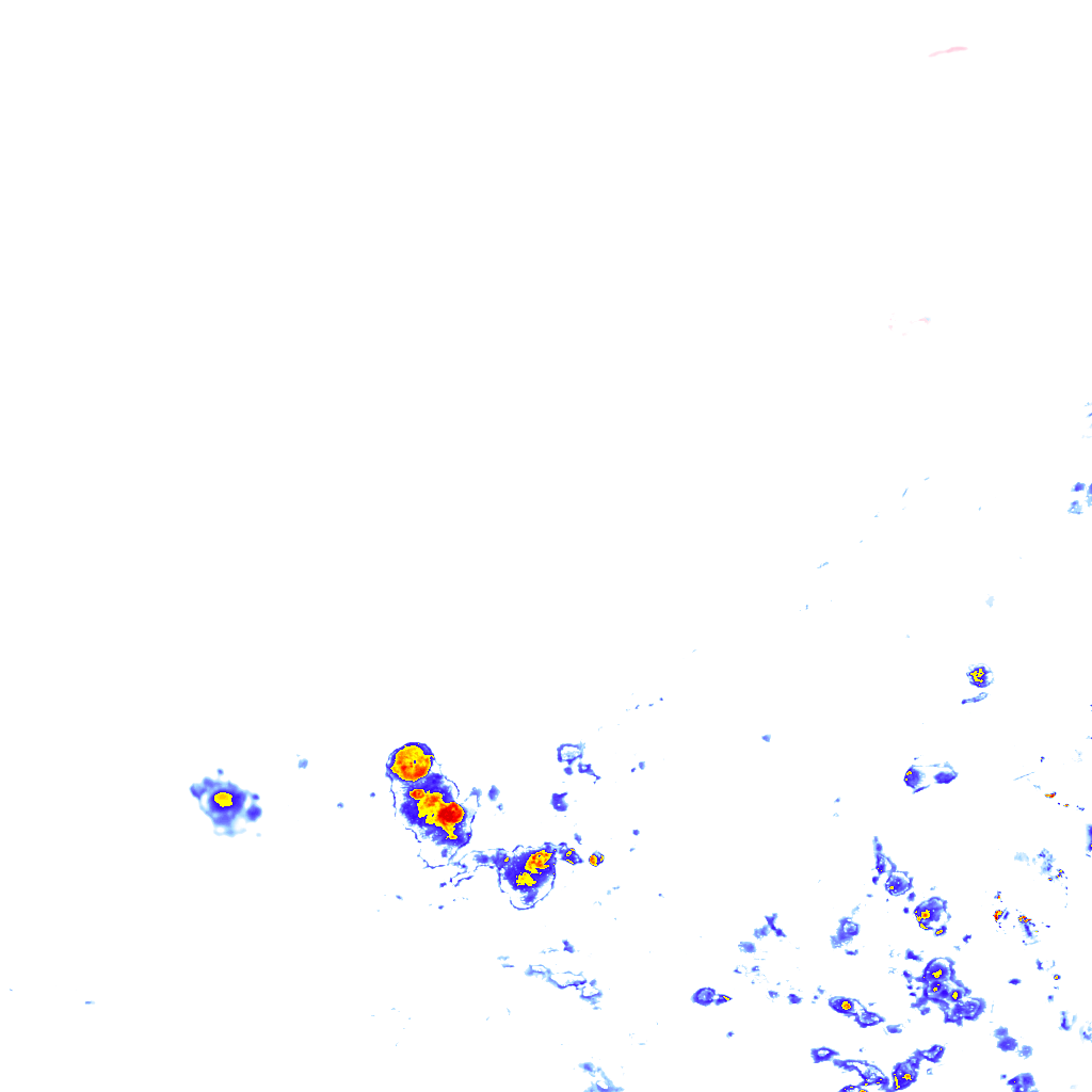 rainLayer