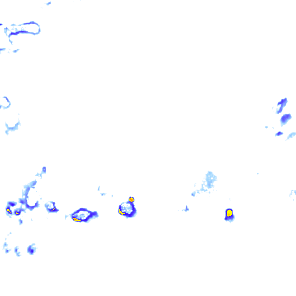 rainLayer