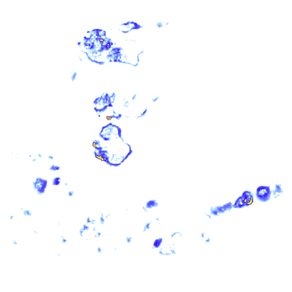 Image Layer