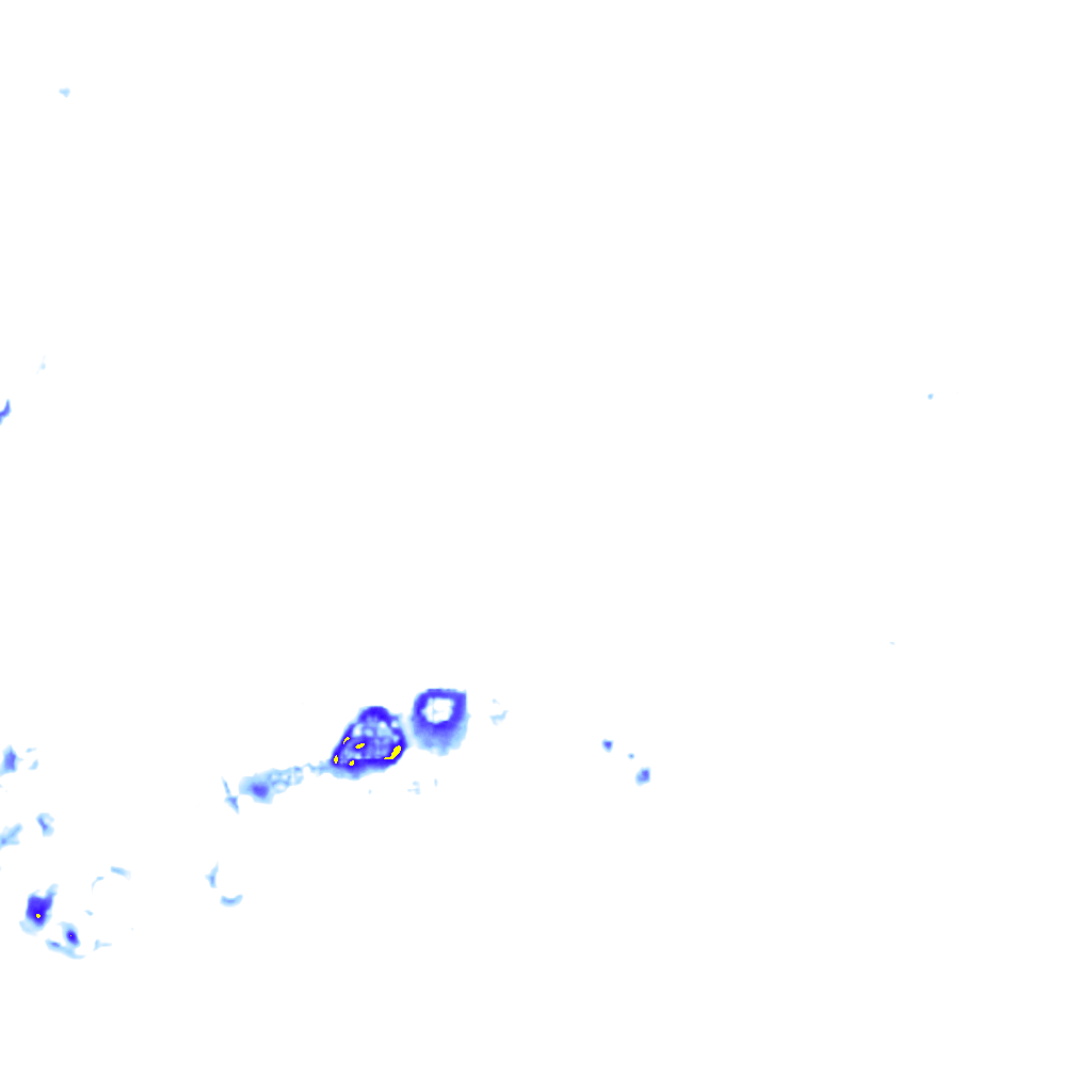 rainLayer