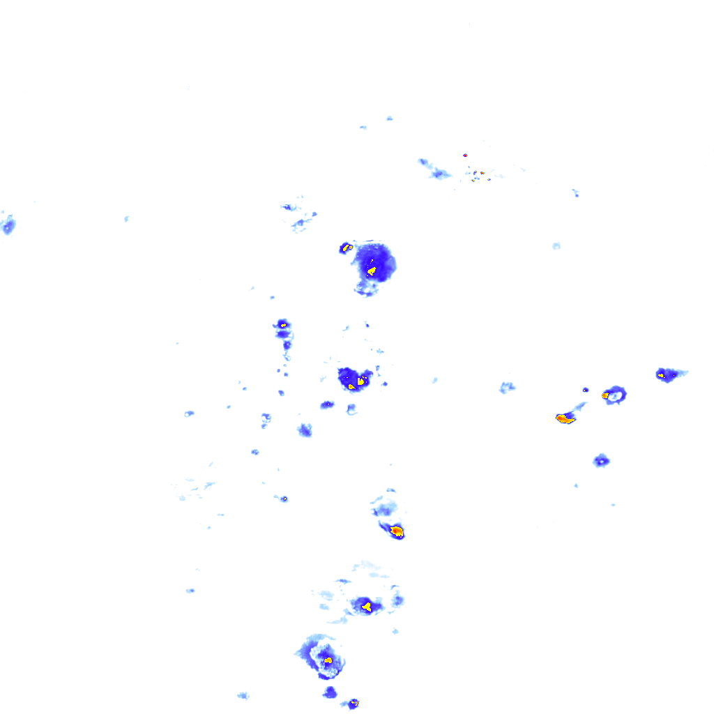 rainLayer