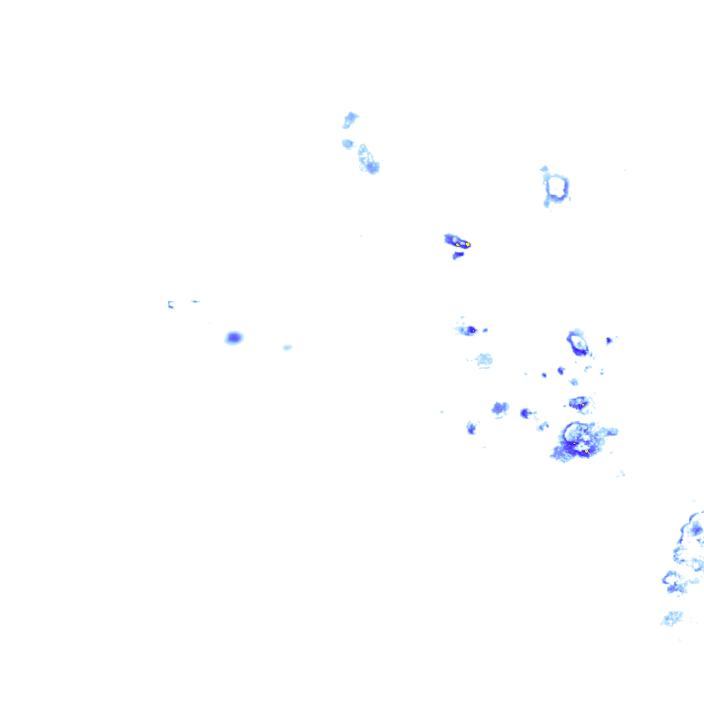 rainLayer
