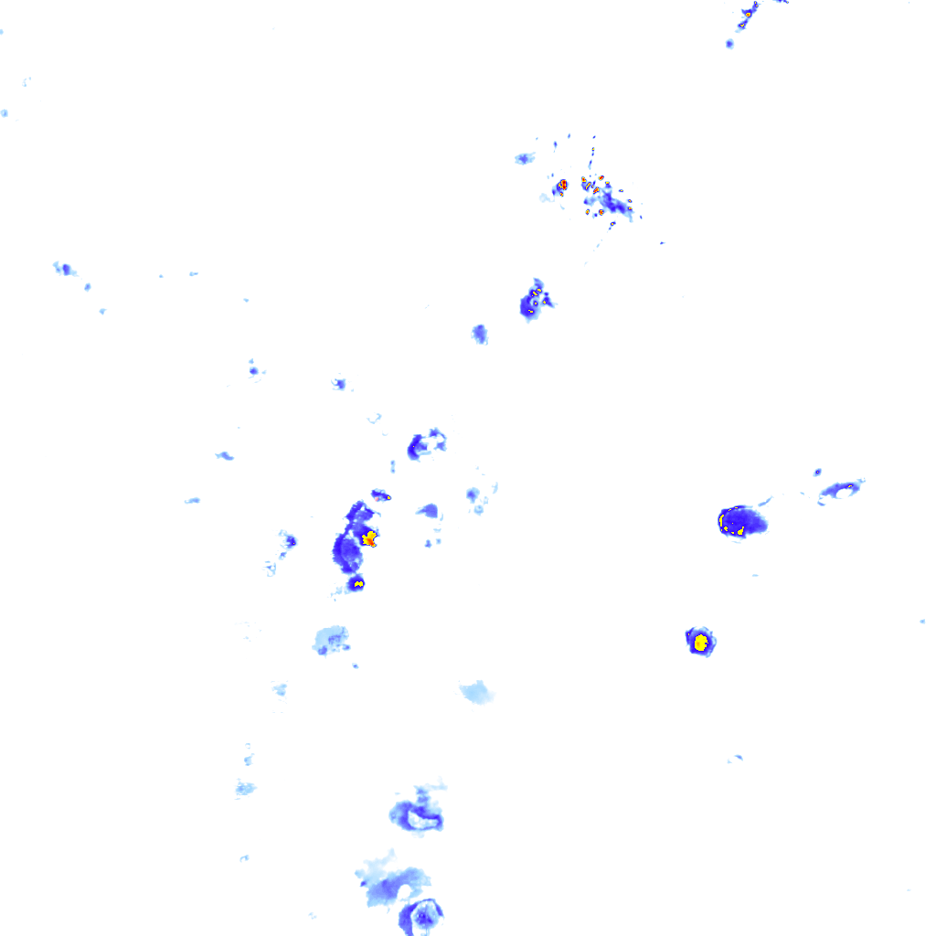 rainLayer