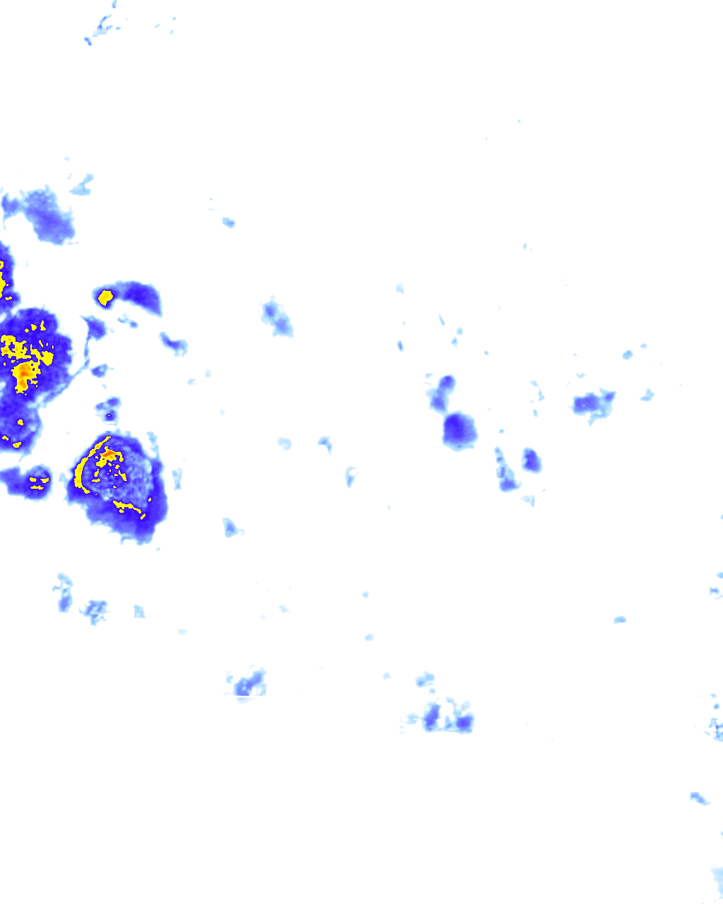rainLayer