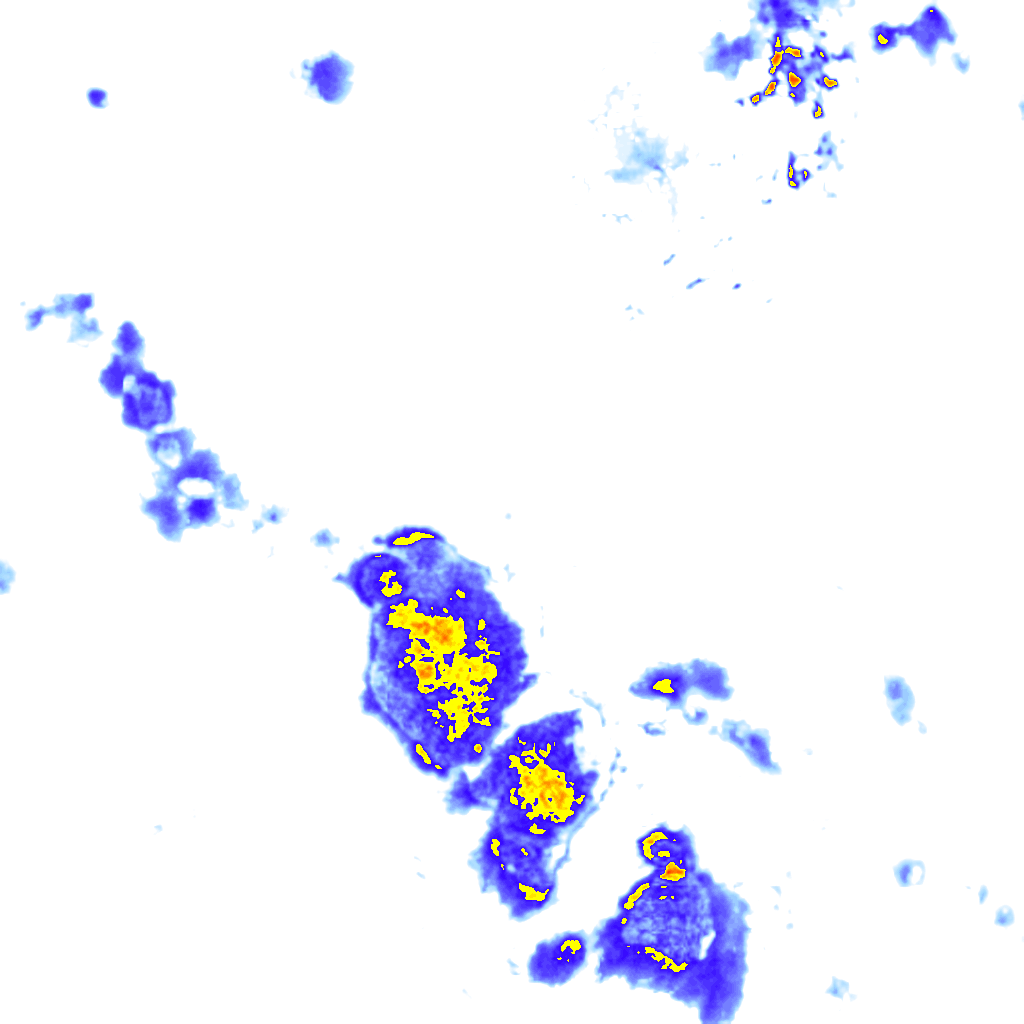 rainLayer
