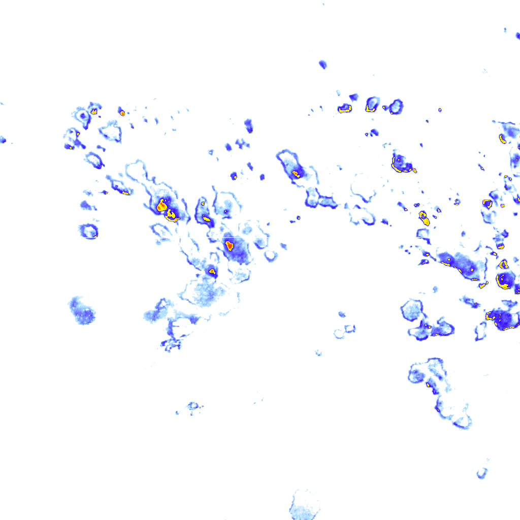 rainLayer