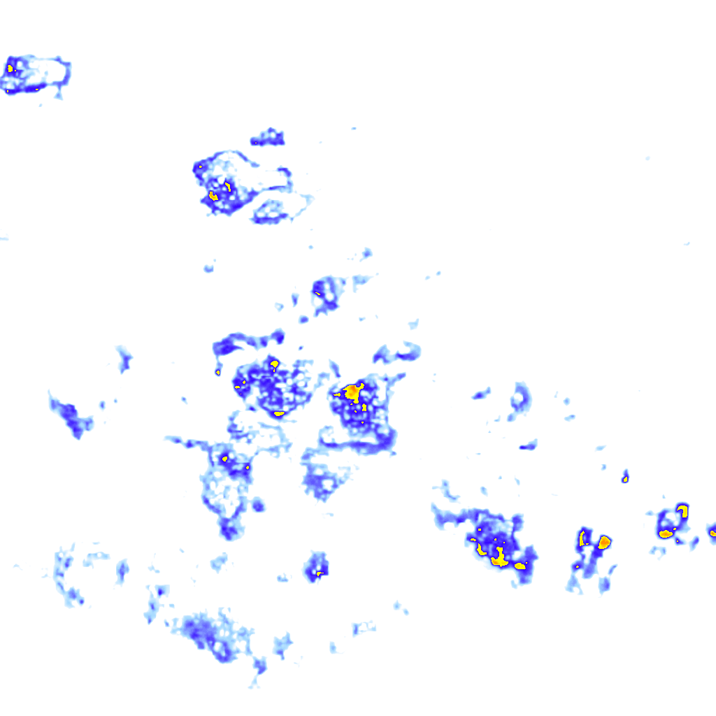 rainLayer