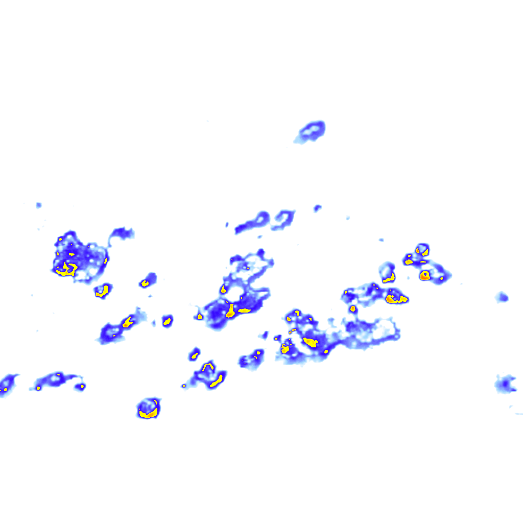 rainLayer