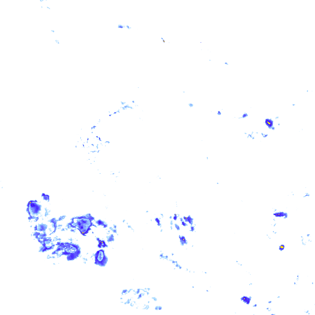 rainLayer