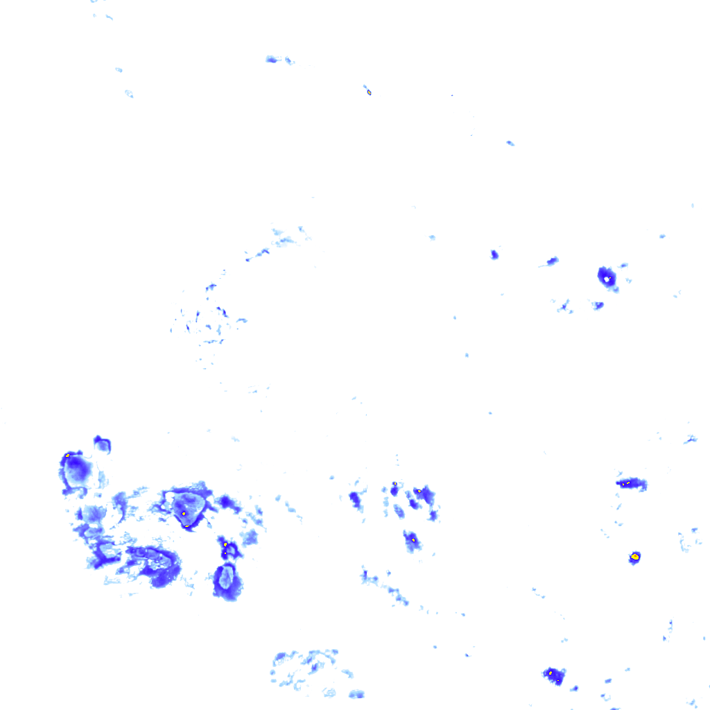 Image Layer
