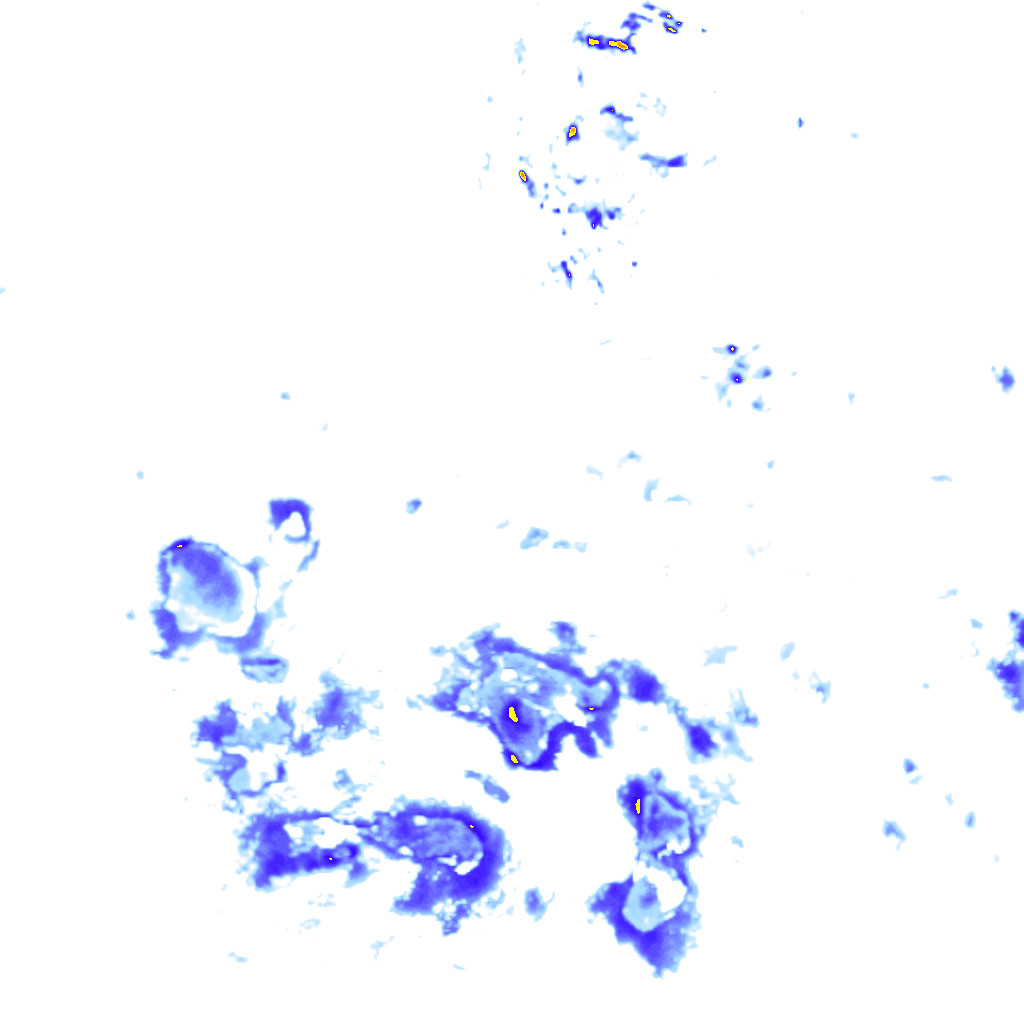 rainLayer