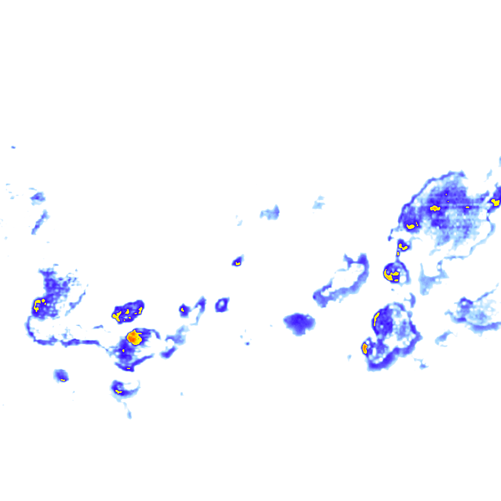 rainLayer