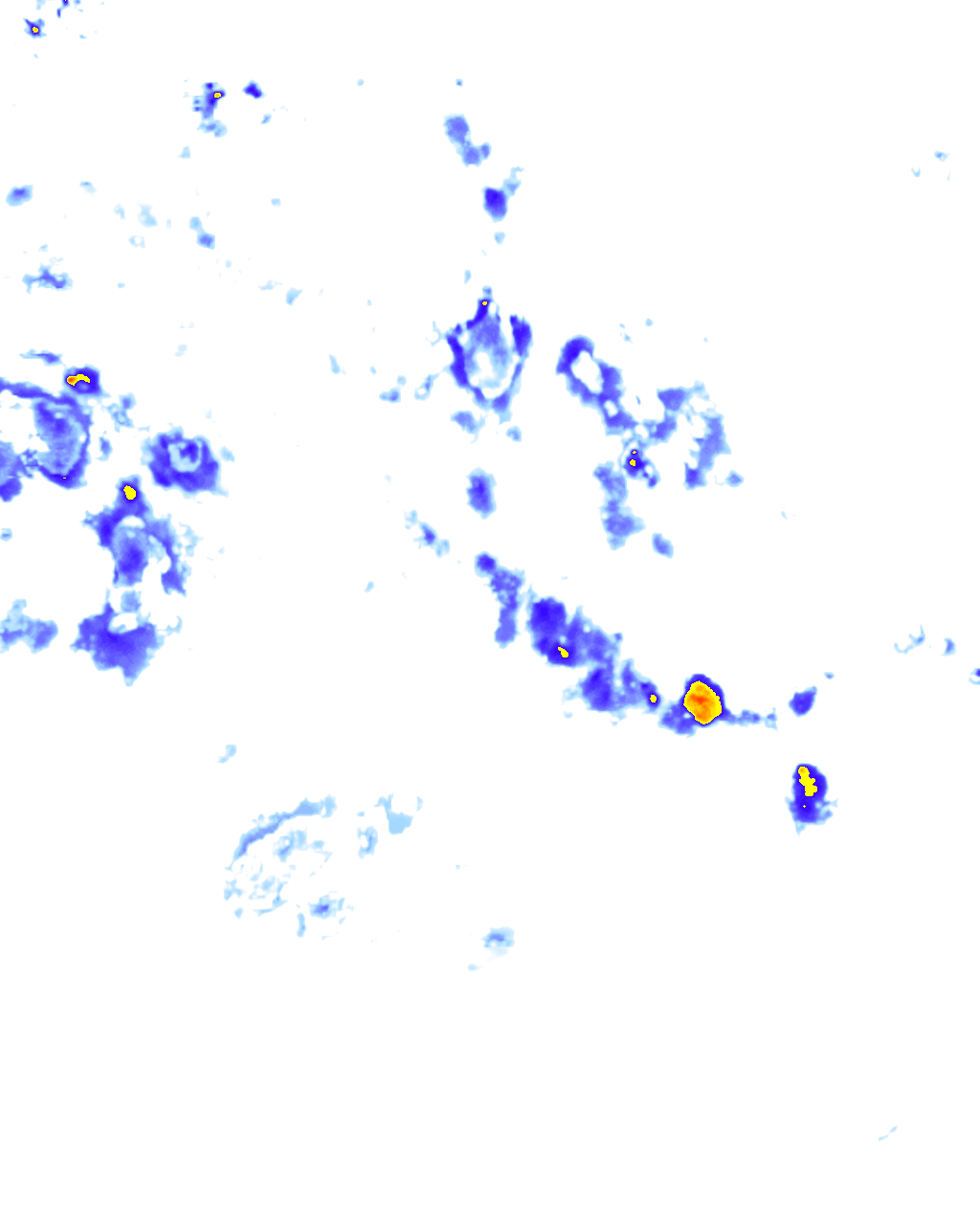 Image Layer
