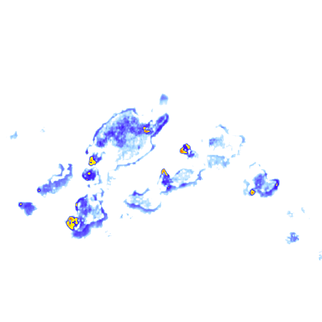 Image Layer