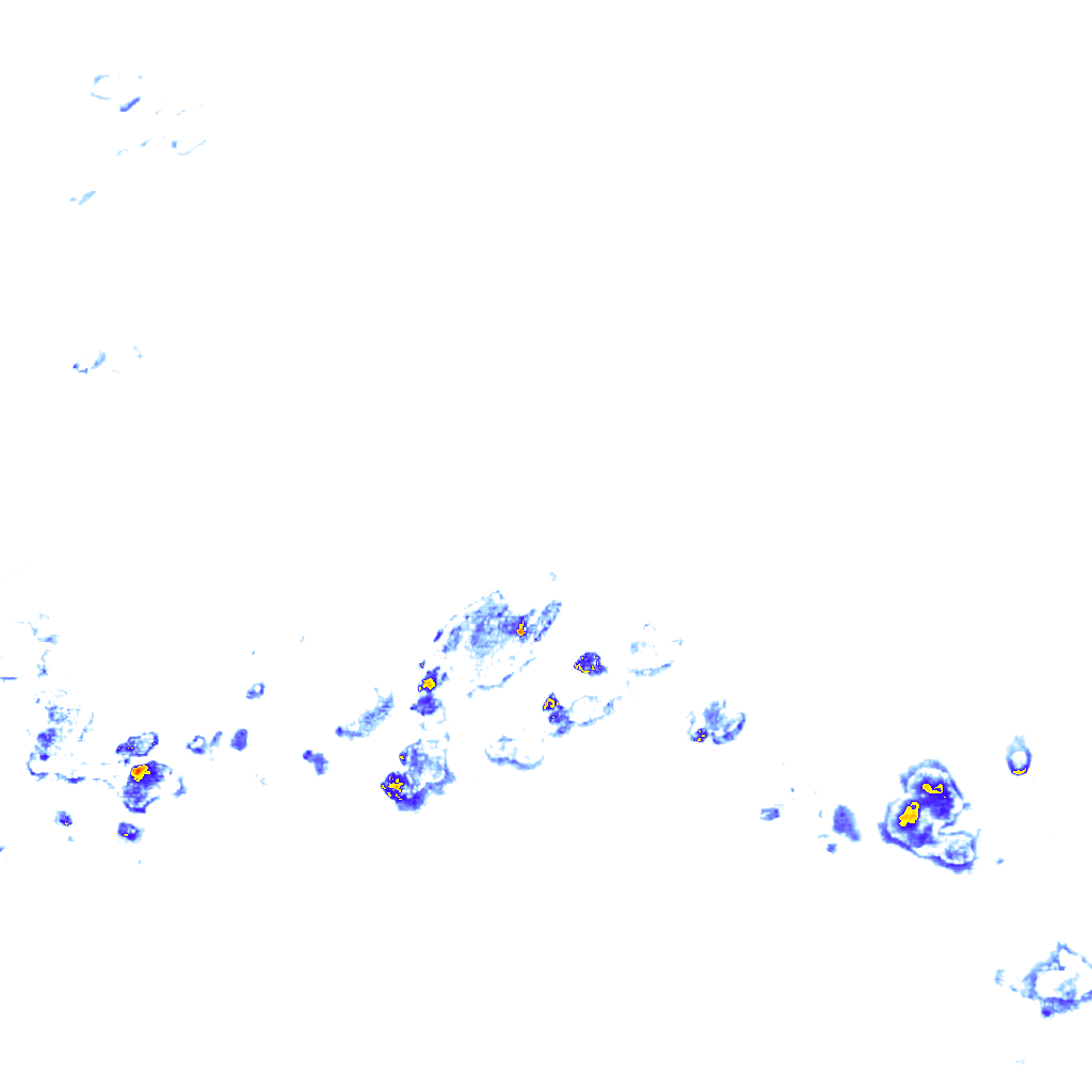 rainLayer
