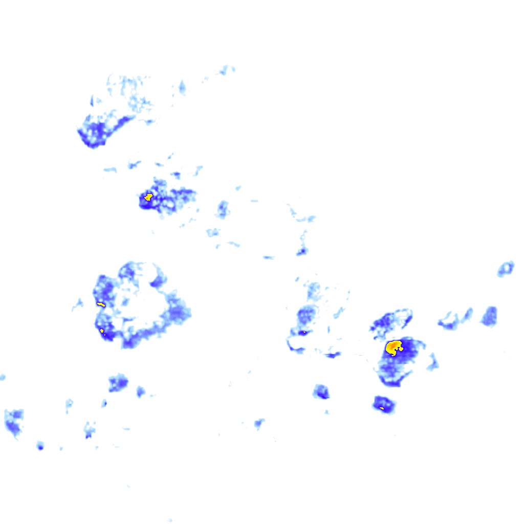 Image Layer