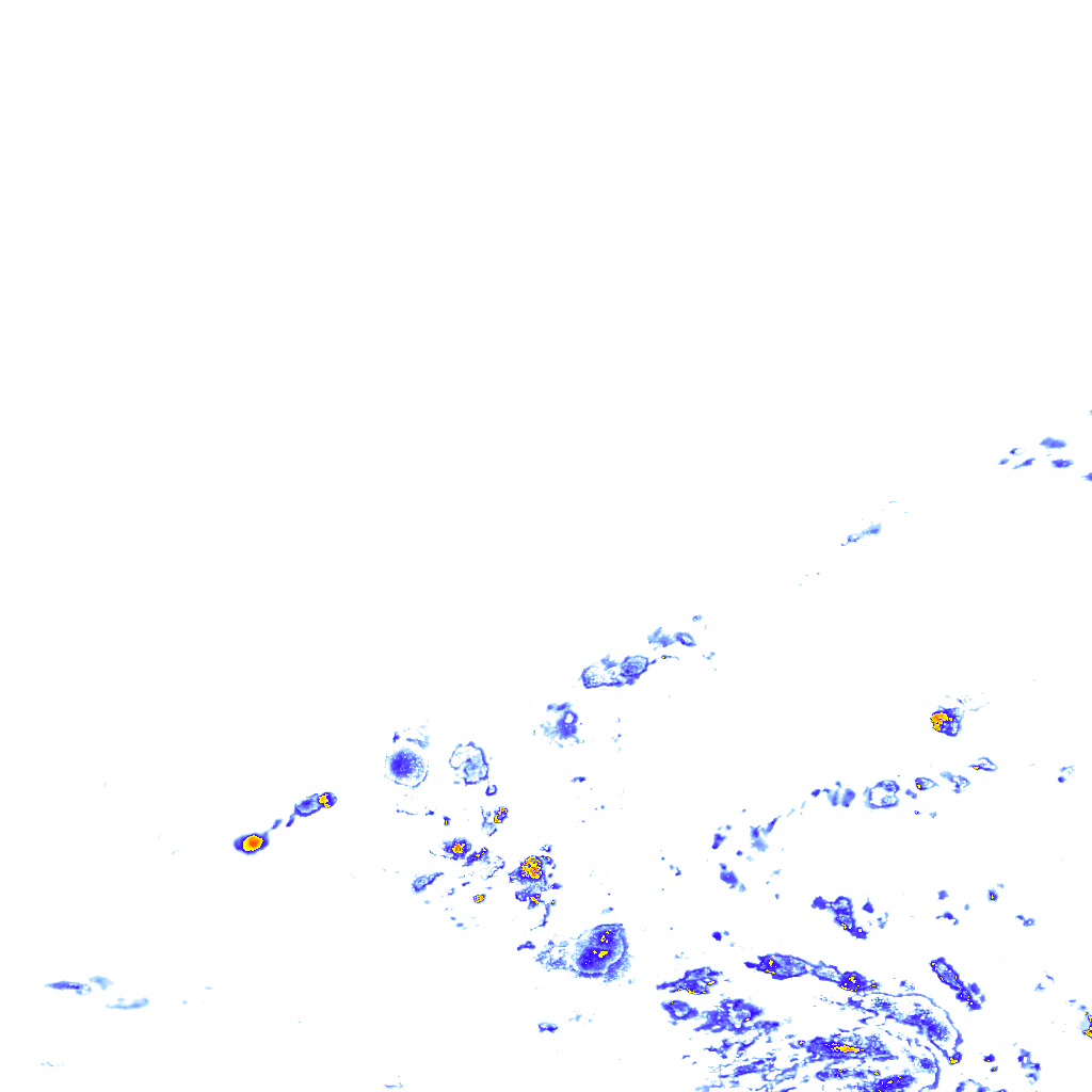 rainLayer