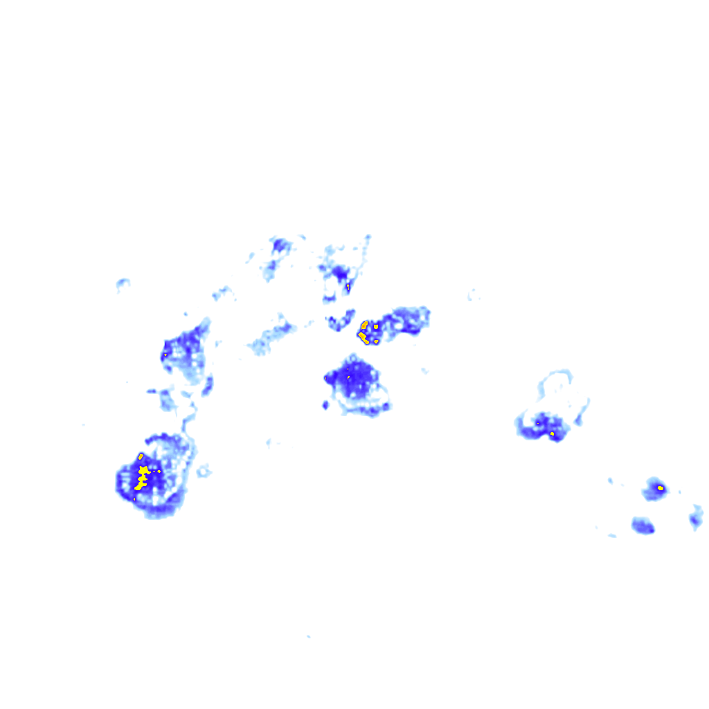 rainLayer